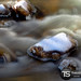 Ted Stark Photo 20