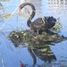 Annette Hale Photo 36