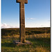 Ralph Young Photo 8