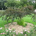 Alice George Photo 43