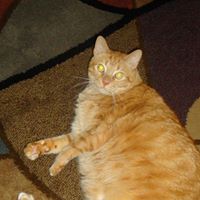Ginger Garrison Photo 21