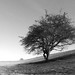 Tara Winters Photo 9