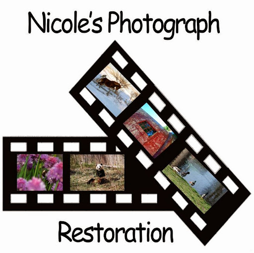 Nicole Edwards Photo 10