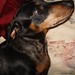 Derek Bunch Photo 16