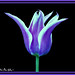 Michele Sweet Photo 13