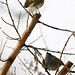 Robin Angers Photo 3
