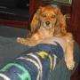 Patricia Adkins Photo 31