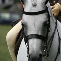 Janet Fleming Photo 18
