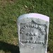 Nancy Bonner Photo 27