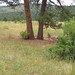 Pamela Eaton Photo 21