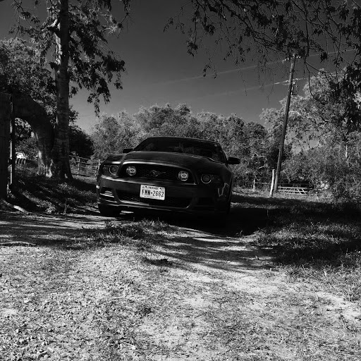 Stephen Clements Photo 13