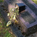Anne Heap Photo 13