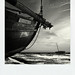 Elizabeth Kirby Photo 9