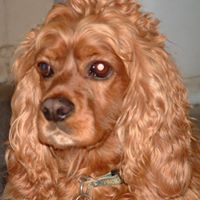 Julie Stegall Photo 11
