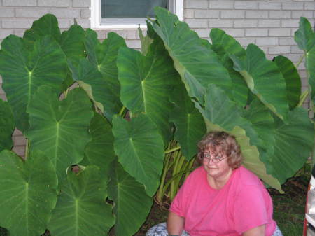 Barbara Watson Photo 35