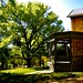 Kelly Clifton Photo 18