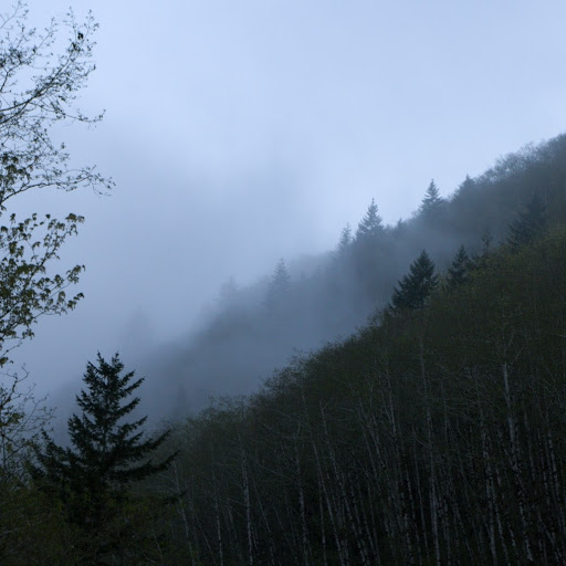 Nicholas Black Photo 28