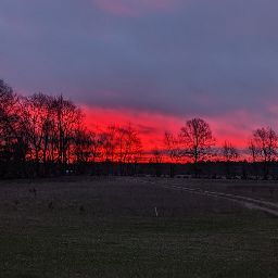 Andrea Atwood Photo 28