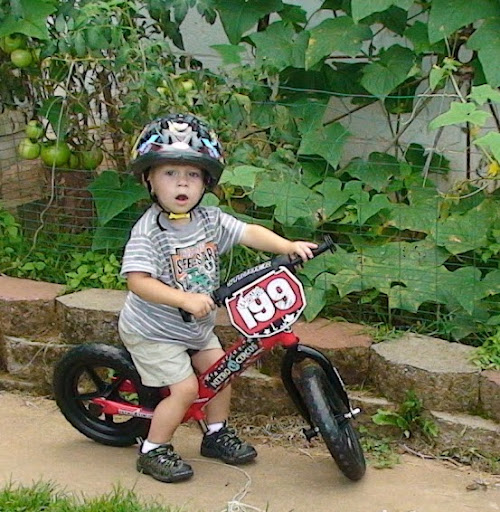 Allen Mccrary Photo 7
