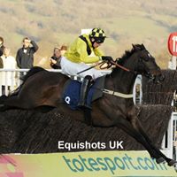 Steven Clements Photo 43