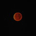 Robert Whittemore Photo 26