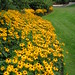 Susan Borders Photo 7