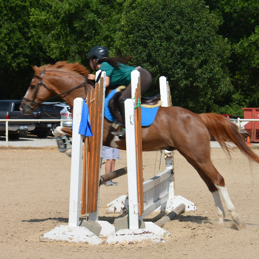 Stephanie Hernandez Photo 34