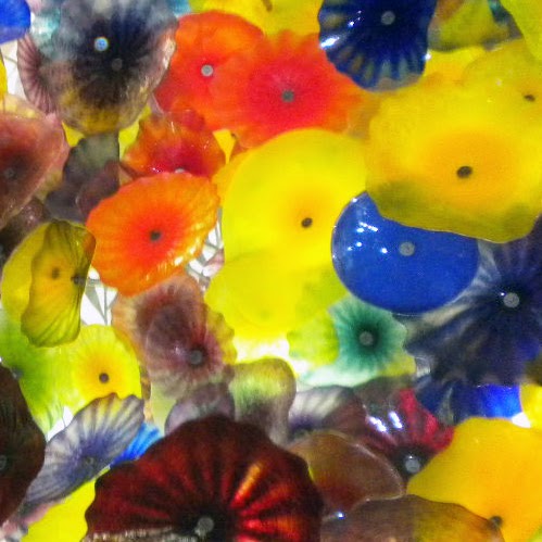 Joy Fields Photo 43