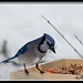 Shirley Stocks Photo 16