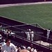 Joe Hillman Photo 15