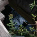 Thomas Parsons Photo 41