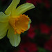 Cathy Durham Photo 29
