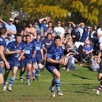 David Twomey Photo 29