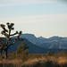 Joshua Laughlin Photo 31