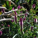 Heather Parks Photo 16