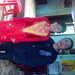 Tam Vu Photo 26