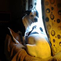 Stacey Craft Photo 7