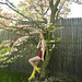 Genevieve Short Photo 12