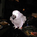 Ramon Gray Photo 11