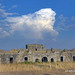 Concepcion Torres Photo 15