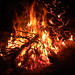 Jacqueline Burns Photo 16