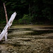 Renee Blackburn Photo 31