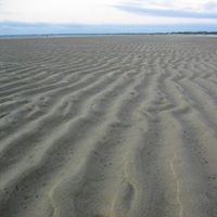 Douglas Cooke Photo 27