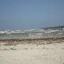 Ann Bates Photo 29