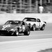 Ray Ritchie Photo 18