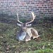 Barry Dunham Photo 18