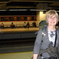 Carolyn Morey Photo 3