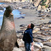 April Seal Photo 17