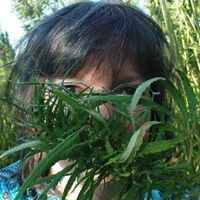 Barbara Hasse Photo 3