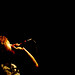 Stephen Edge Photo 24